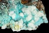 Rosasite, Aurichalcite and Selenite Crystal Association - Utah #109818-2